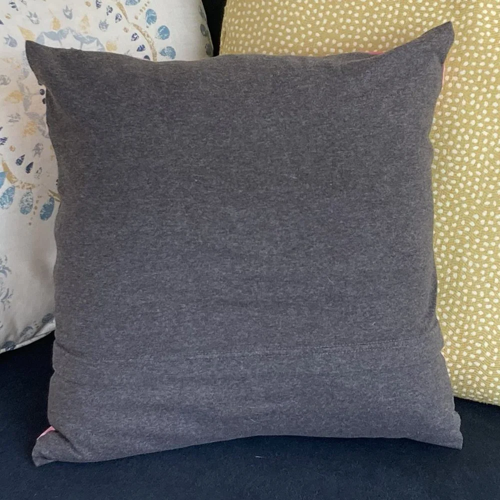Bradley University Braves Handmade upcycled t-shirt 16 x 16 throw pillow cover
